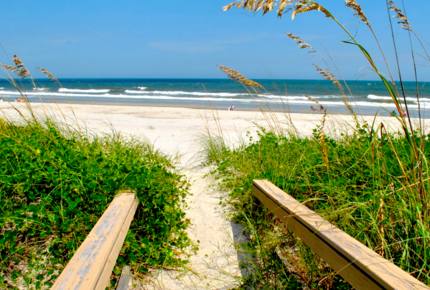 Ocean Front Beach Cottage - North Litchfield, South Carolina