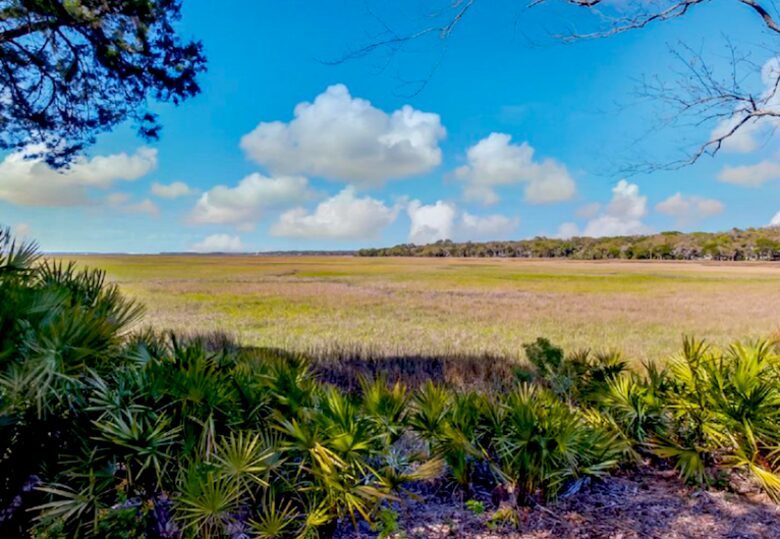 Marsh View Villa - Amelia Island, Florida