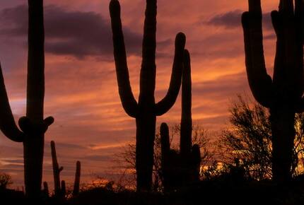 Stone Canyon Casita - Luxury Golf 3 Bedroom - Oro Valley, Arizona