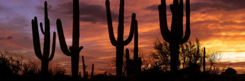 Stone Canyon Casita - Luxury Golf 3 Bedroom - Oro Valley, Arizona
