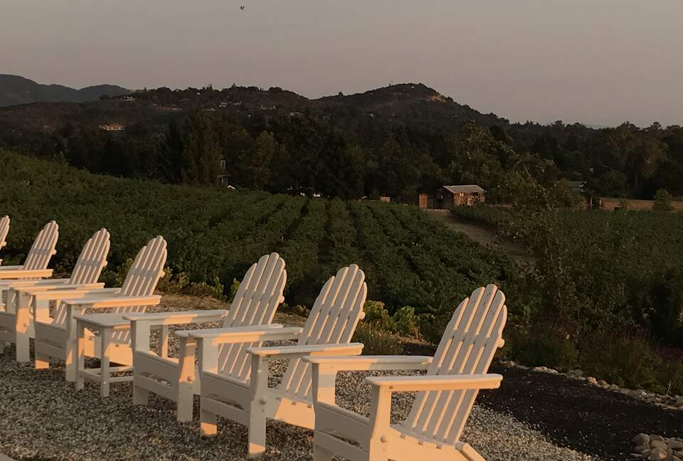 Napa Dream Retreat - Napa, California