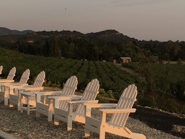 Napa Dream Retreat - Napa, California