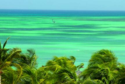 Marriott Aruba Surf Club - Palm Beach, Aruba