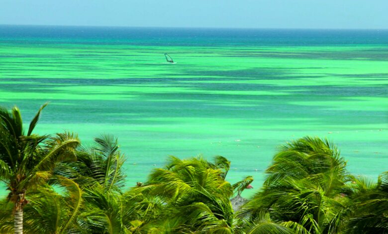 Marriott Aruba Surf Club - Palm Beach, Aruba
