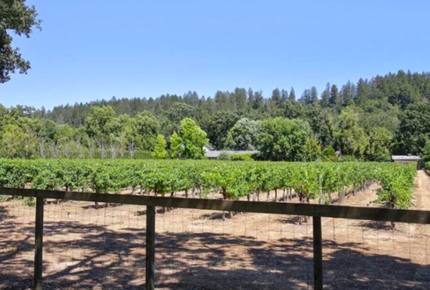 Breathtaking Wine Country Estate - Healdsburg, California