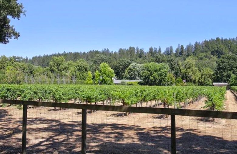 Breathtaking Wine Country Estate - Healdsburg, California