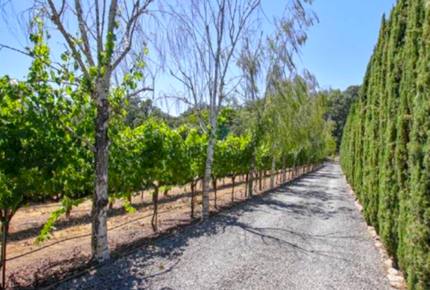 Breathtaking Wine Country Estate - Healdsburg, California