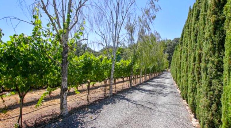 Breathtaking Wine Country Estate - Healdsburg, California