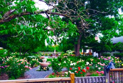 Breathtaking Wine Country Estate - Healdsburg, California