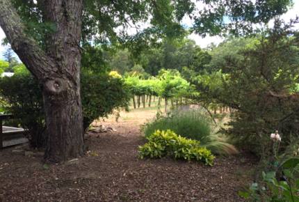 Breathtaking Wine Country Estate - Healdsburg, California