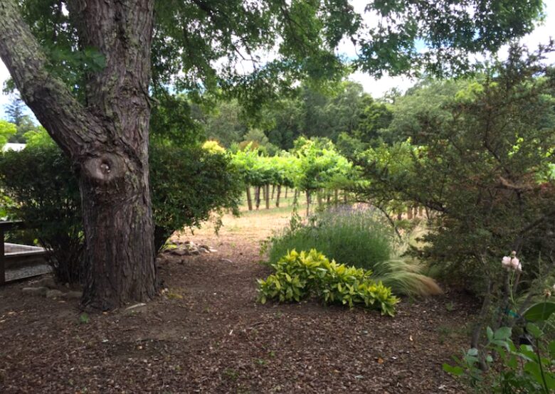 Breathtaking Wine Country Estate - Healdsburg, California