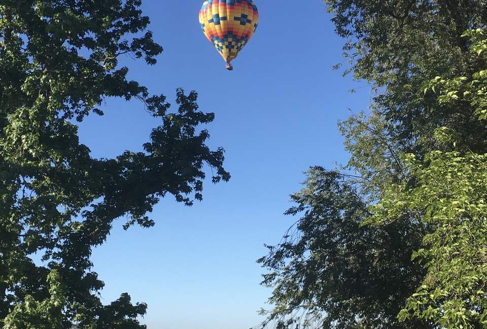 Napa Dream Retreat - Napa, California
