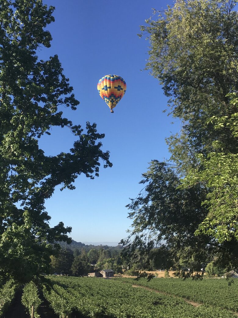 Napa Dream Retreat - Napa, California