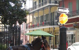 French Quarter Hideaway - New Orleans, Louisiana
