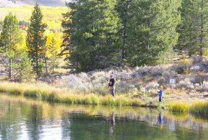 View House! - Leadville, Colorado