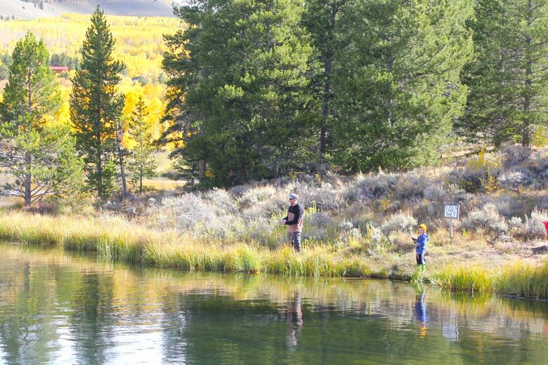 View House! - Leadville, Colorado