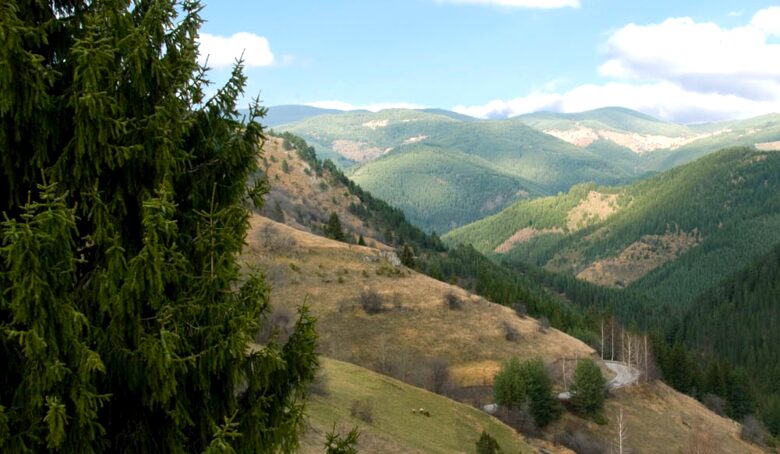 Villa Gella - Pamporovo, Bulgaria