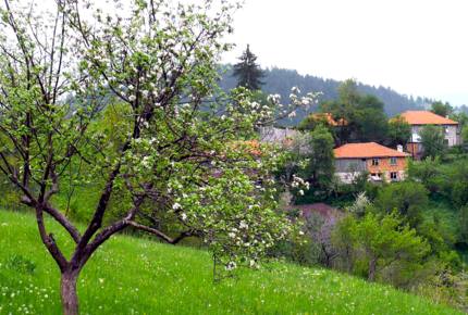 Villa Gella - Pamporovo, Bulgaria