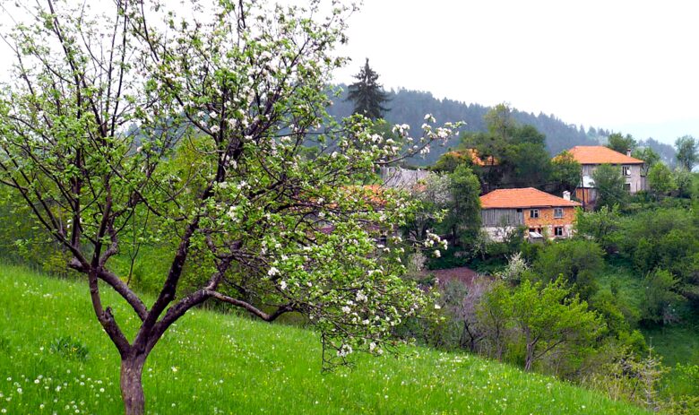 Villa Gella - Pamporovo, Bulgaria