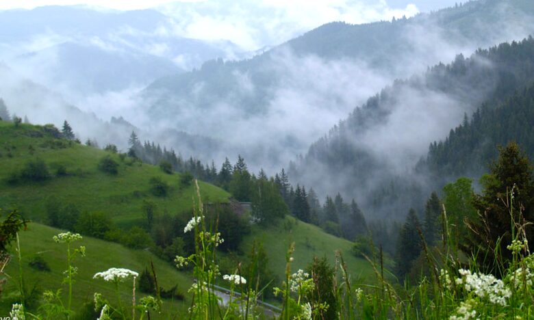 Villa Gella - Pamporovo, Bulgaria