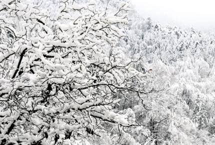 Villa Gella - Pamporovo, Bulgaria