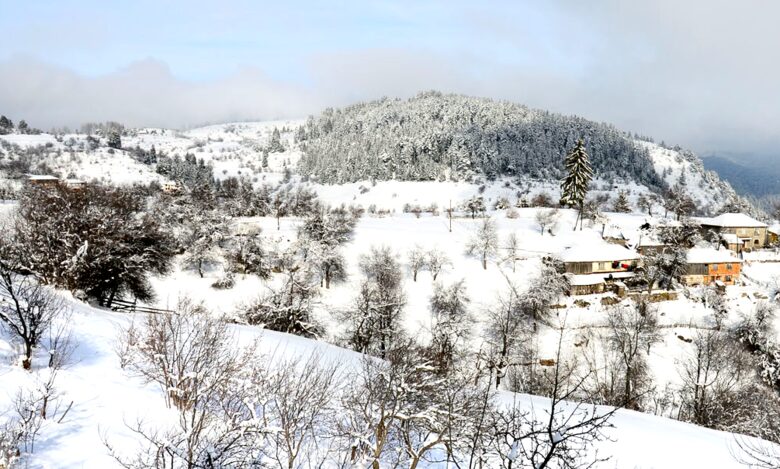 Villa Gella - Pamporovo, Bulgaria