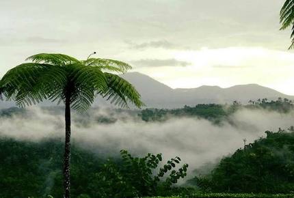 Extraordinary Escape with Head-turning Style - Bali, Indonesia