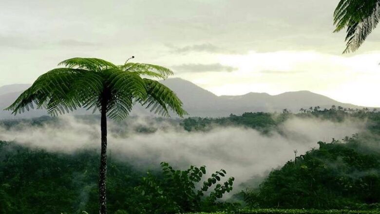 Extraordinary Escape with Head-turning Style - Bali, Indonesia