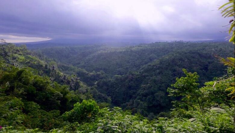 Extraordinary Escape with Head-turning Style - Bali, Indonesia