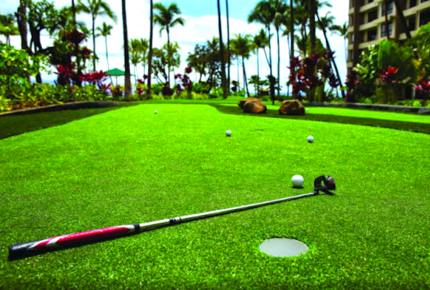 Oceanfront Maui Ocean Club Kaanapali 2 Bedroom, 3 Bathroom - Lahaina - Maui, Hawaii