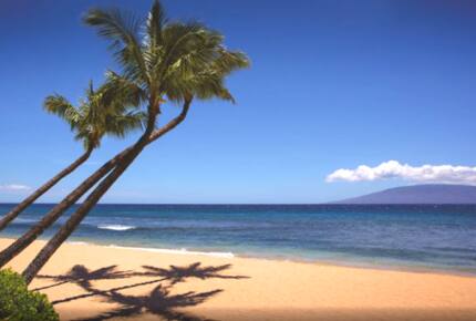 Oceanfront Maui Ocean Club Kaanapali 2 Bedroom, 3 Bathroom - Lahaina - Maui, Hawaii