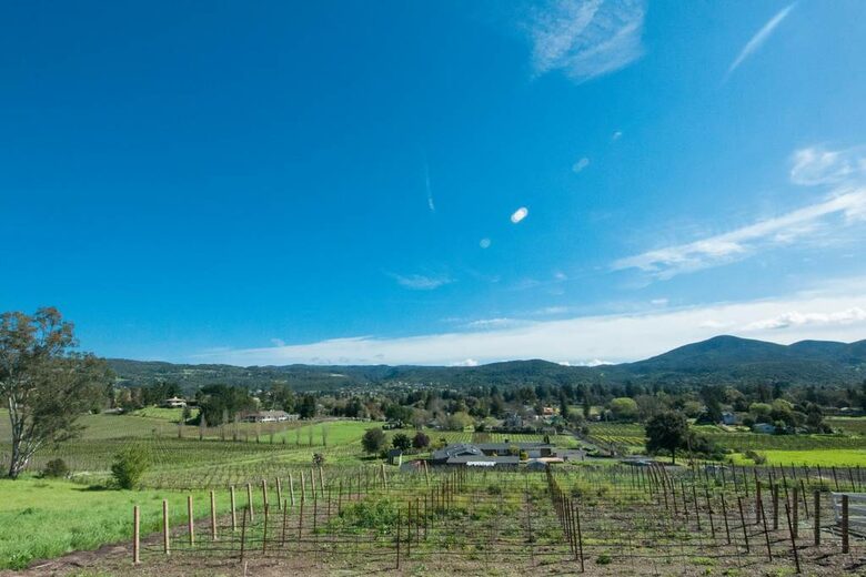 Wine Not - Napa, California