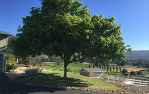 Wine Not - Napa, California