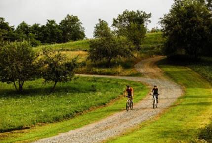 Mountain Modern Luxury - Marshall, North Carolina