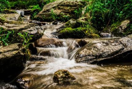 Mountain Modern Luxury - Marshall, North Carolina