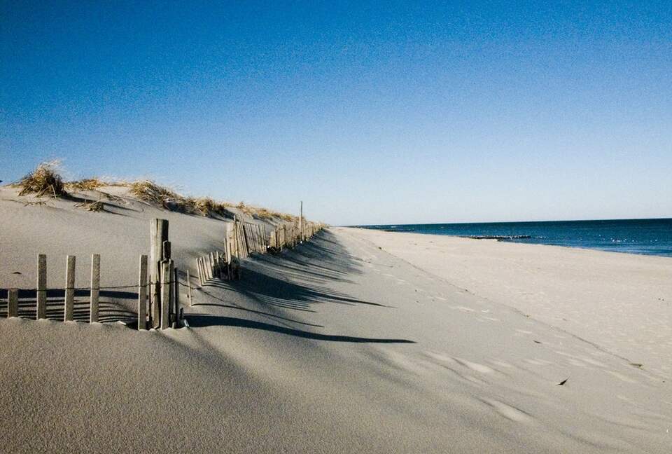 Lovely Loveladies - Long Beach Island, New Jersey