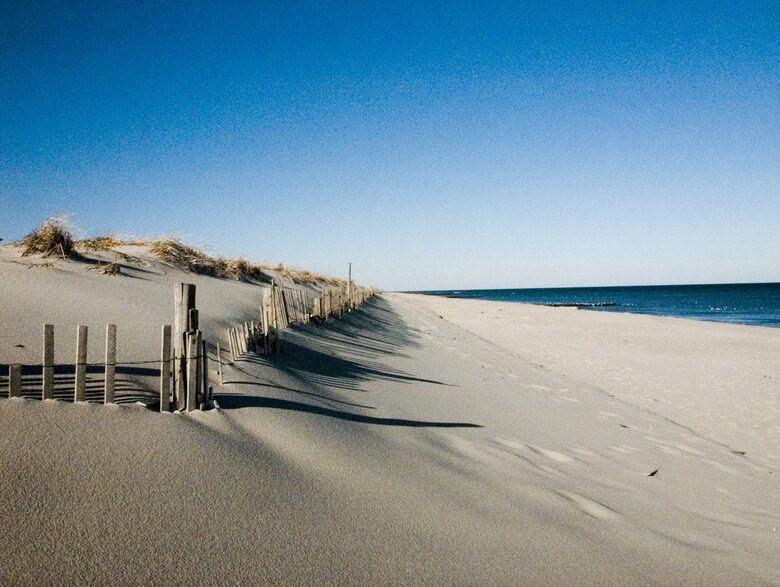 Lovely Loveladies - Long Beach Island, New Jersey