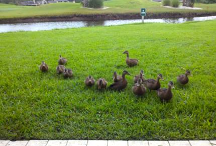 Sawgrass Country Club Oceanfront Community - Ponte Vedra Beach, Florida