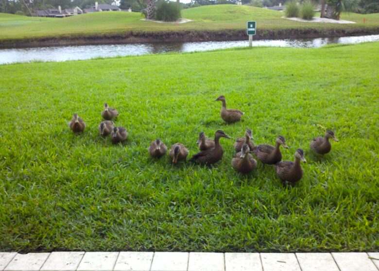 Sawgrass Country Club Oceanfront Community - Ponte Vedra Beach, Florida