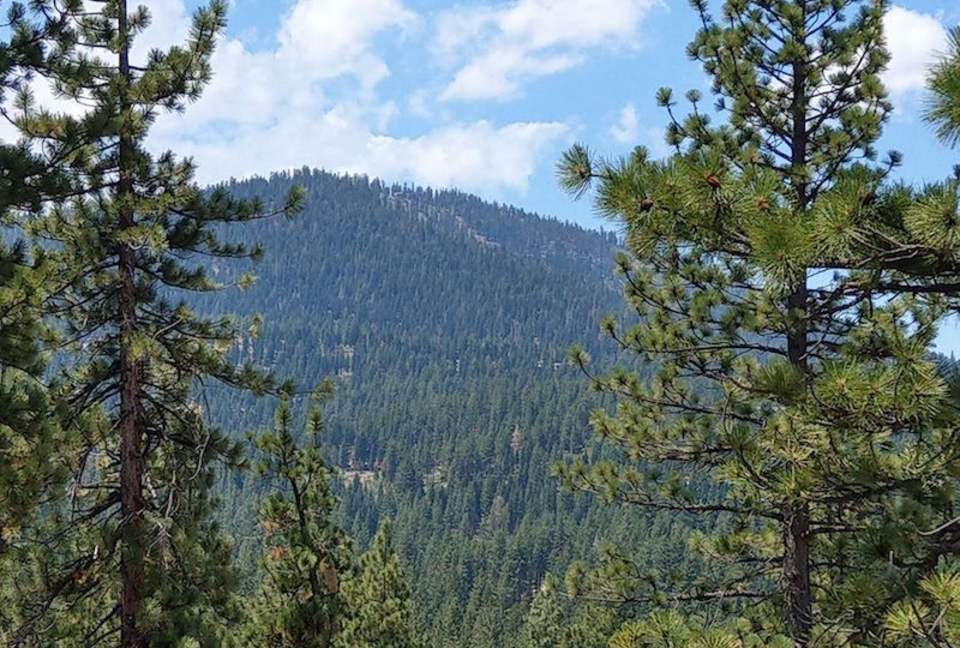 Northstar Club - 4 Bedroom Residence - Truckee, California