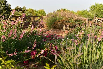 The Round House and Bunk Room at Olepangi Farm - all inclusive - Mt. Kenya - Timau, Kenya