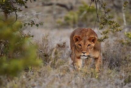 The Round House and Bunk Room at Olepangi Farm - all inclusive - Mt. Kenya - Timau, Kenya