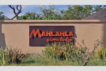 Family Suite at Mahlahla Game Lodge - Ofcolaco, South Africa