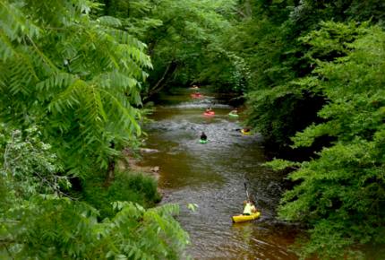 The Mitchell River Estate - 400+ Acres, Fly Fishing Paradise - Dobson, North Carolina