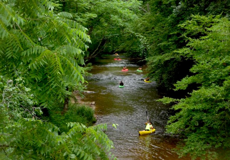 The Mitchell River Estate - 400+ Acres, Fly Fishing Paradise - Dobson, North Carolina