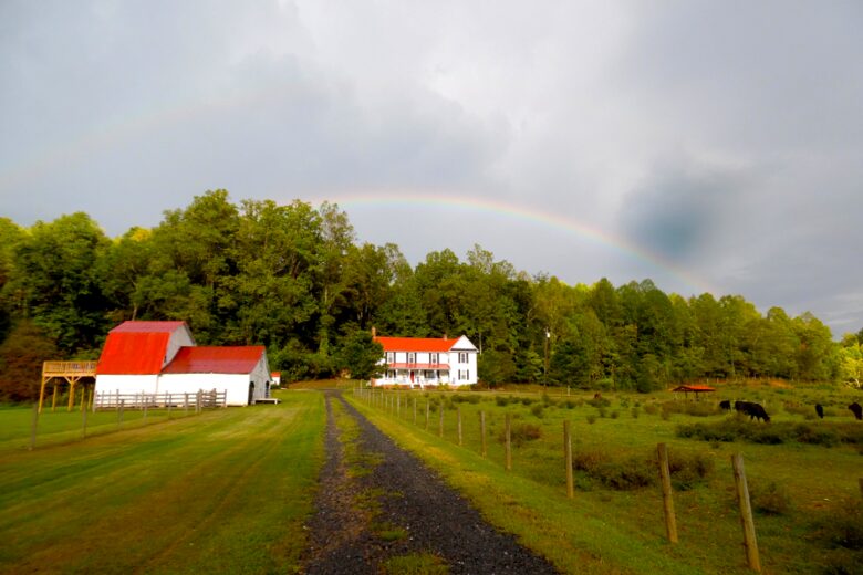 The Mitchell River Estate - 400+ Acres, Fly Fishing Paradise - Dobson, North Carolina