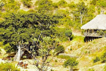 The Round House and Bunk Room at Olepangi Farm - all inclusive - Mt. Kenya - Timau, Kenya