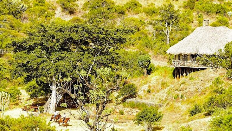 The Round House and Bunk Room at Olepangi Farm - all inclusive - Mt. Kenya - Timau, Kenya