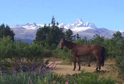 The Round House and Bunk Room at Olepangi Farm - all inclusive - Mt. Kenya - Timau, Kenya