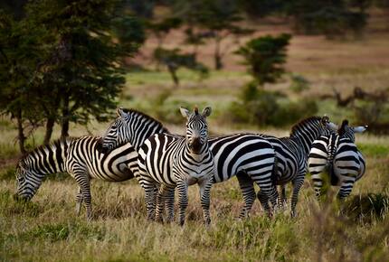 The Round House and Bunk Room at Olepangi Farm - all inclusive - Mt. Kenya - Timau, Kenya